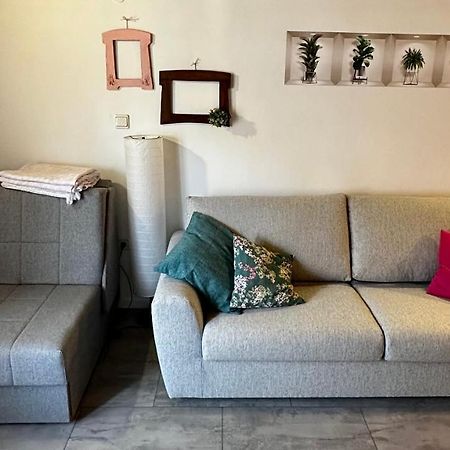 Lara Deluxe Superior 5 Star Apartment, Your Piece Of Heaven By The Sea & Park Novigrad Istria Extérieur photo
