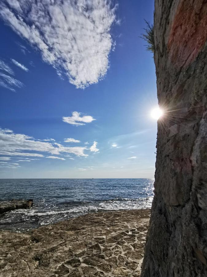 Lara Deluxe Superior 5 Star Apartment, Your Piece Of Heaven By The Sea & Park Novigrad Istria Extérieur photo